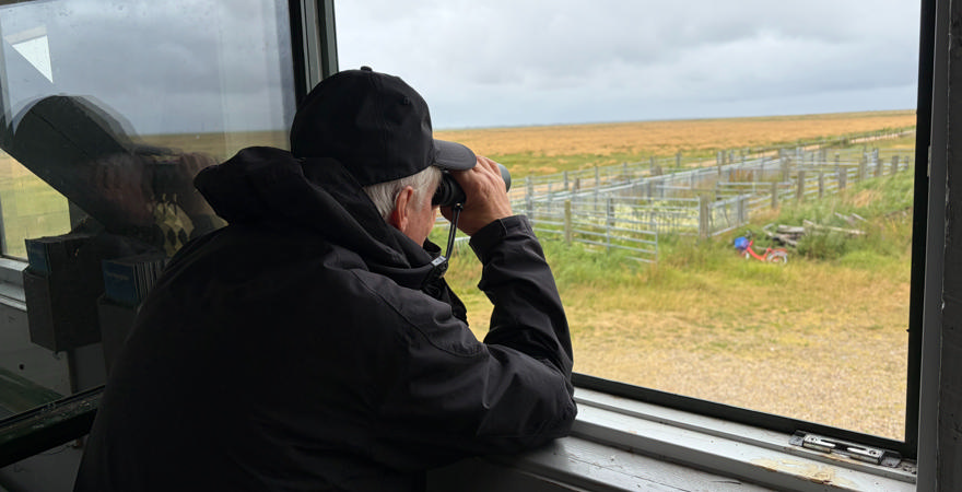 Flere får øjnene op for fuglekiggeri – og Naturens Rige er et oplagt sted at starte